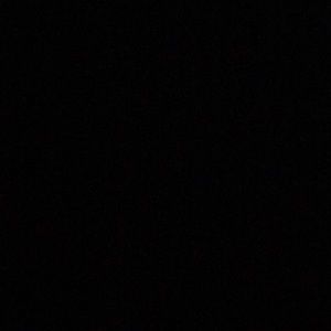 Meet your Posher, Zoey